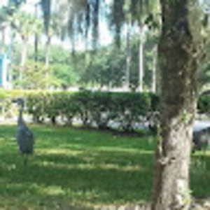 Meet your Posher, Angie